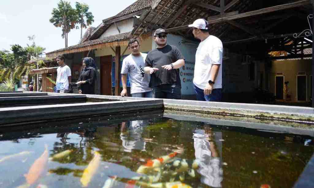 Produsen Terbesar di Jatim, Koi jadi Ikan Hias Identiknya Kabupaten&nbsp;Kediri